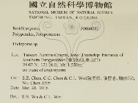 登錄號:F0030020藏品圖，第2張