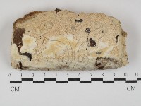 登錄號:F0030020藏品圖，第1張