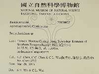 登錄號:F0030022藏品圖，第2張