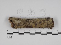 登錄號:F0030022藏品圖，第1張