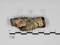 登錄號:F0030023藏品圖，第1張