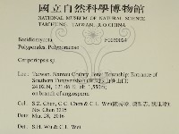 登錄號:F0030024藏品圖，第2張