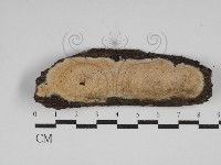 登錄號:F0030024藏品圖，第1張