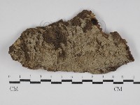 登錄號:F0030026藏品圖，第1張