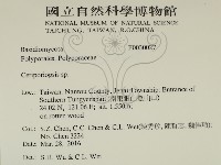 登錄號:F0030027藏品圖，第2張