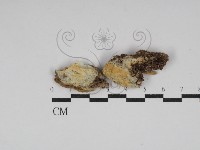 登錄號:F0030027藏品圖，第1張