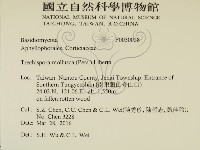 登錄號:F0030028藏品圖，第2張