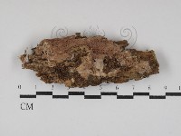 登錄號:F0030028藏品圖，第1張