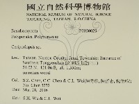 登錄號:F0030029藏品圖，第2張