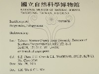 骨皮菌屬藏品圖，第2張