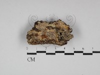 登錄號:F0030031藏品圖，第1張