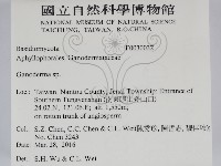 靈芝屬藏品圖，第2張