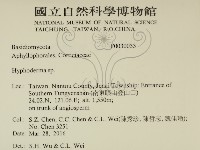 絲皮菌屬藏品圖，第2張