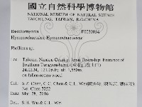 木層孔菌屬藏品圖，第2張