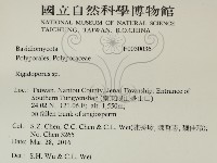 硬孔菌屬藏品圖，第2張