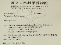 硬孔菌屬藏品圖，第2張