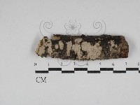 登錄號:F0030038藏品圖，第1張