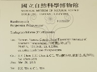 登錄號:F0030039藏品圖，第2張