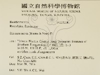蠔韌革菌藏品圖，第2張