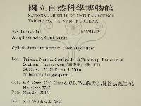 登錄號:F0030042藏品圖，第2張