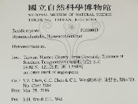 刺革菌屬藏品圖，第2張