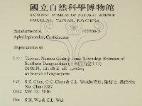 絲齒菌屬藏品圖，第2張