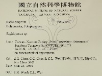 硬孔菌屬藏品圖，第2張