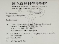 硬孔菌屬藏品圖，第2張