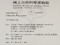 多年臥孔菌屬藏品圖，第2張