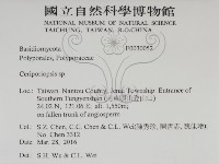 登錄號:F0030052藏品圖，第2張