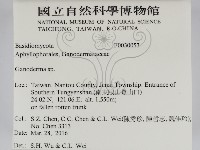 靈芝屬藏品圖，第2張