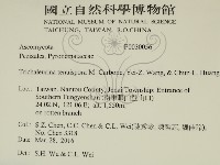 登錄號:F0030056藏品圖，第2張