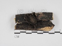 登錄號:F0030056藏品圖，第3張