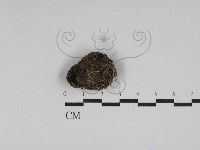 登錄號:F0030059藏品圖，第1張