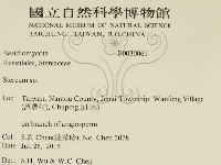 韌革菌屬藏品圖，第2張