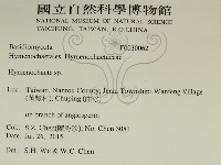 刺革菌屬藏品圖，第2張