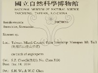 韌革菌屬藏品圖，第2張
