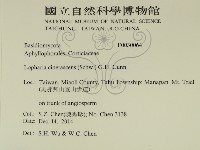 登錄號:F0030064藏品圖，第2張