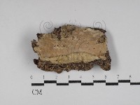 登錄號:F0030064藏品圖，第1張