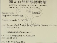 雲芝藏品圖，第2張