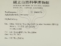 絲齒菌屬藏品圖，第2張
