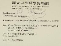 登錄號:F0030079藏品圖，第2張