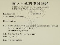 刺皮菌屬藏品圖，第2張