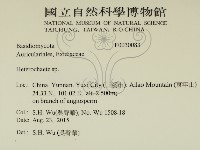 刺皮菌屬藏品圖，第2張