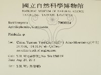 登錄號:F0030084藏品圖，第2張