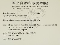 登錄號:F0030086藏品圖，第2張