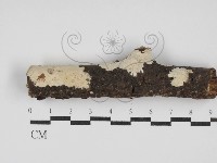 登錄號:F0030086藏品圖，第1張