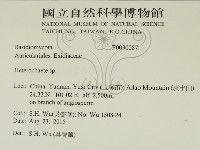 刺皮菌屬藏品圖，第2張