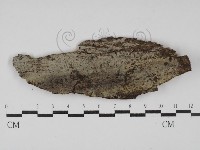 登錄號:F0030089藏品圖，第1張