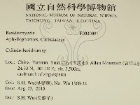柱擔菌屬藏品圖，第2張